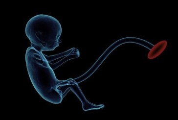 Частицы из загрязненного воздуха способны проникать через плаценту и воздействовать на плод