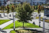 В Гидрометцентре пообещали летнюю погоду в сентябре