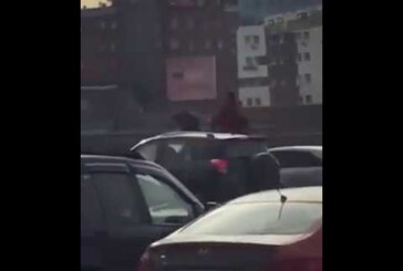 Сибирячка верхом на верблюде объехала городскую пробку (видео)
