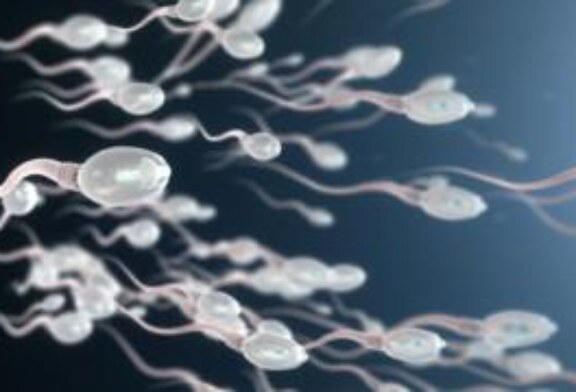 Почему нет мужских оральных контрацептивов и готовы ли к ним мужчины?