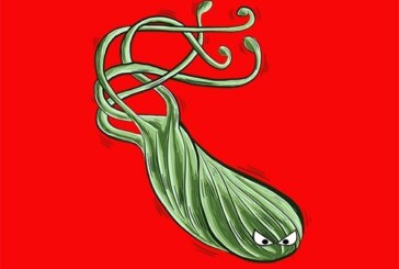 Бактерия, вызывающая язву и рак желудка, стала в два раза более устойчивой к антибиотикам
