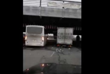 Мост глупости в Петербурге поймал двойную добычу