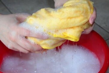Тщательная уборка в доме убивает бактерий и освобождает место для грибков