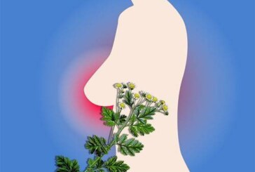 Альтернативные методы лечения при раке молочной железы могут привести больше вреда, чем пользы