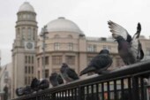 Синоптики назвали последствия арктического вторжения