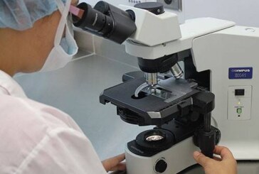 Ученые описали новую болезнь. Раскрываем подробности