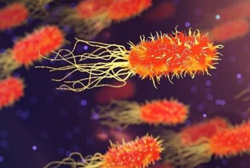 Ученые: Ожирение и болезнь Альцгеймера могут передаваться через микробиоту