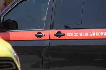 Дело об убийстве матерью младенца возбудили в Электростали