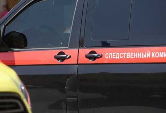 Дело об убийстве матерью младенца возбудили в Электростали