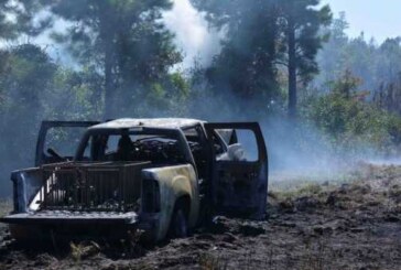 В Магадане медведи разорвали три автомобиля (видео)