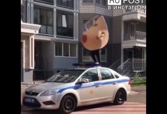 Трэш-видео: человек в секс-костюме расколотил полицейскую машину