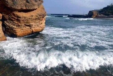 Одесситов призвали отказаться от купания в Черном море