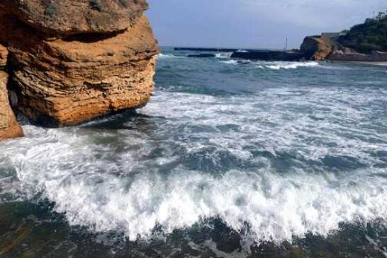 Одесситов призвали отказаться от купания в Черном море