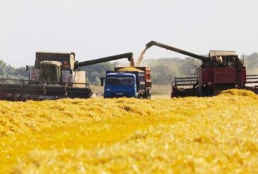 Кого Россия будет хлебом кормить в этом году — Свободная Пресса