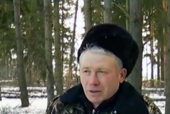 Щепки летят — Свободная Пресса