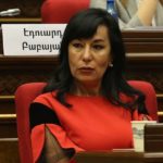 Депутат Армении обвинила ПАСЕ в антироссийской истерии по «делу Навального»