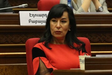 Депутат Армении обвинила ПАСЕ в антироссийской истерии по «делу Навального»