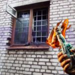 В ожидании «критического периода»